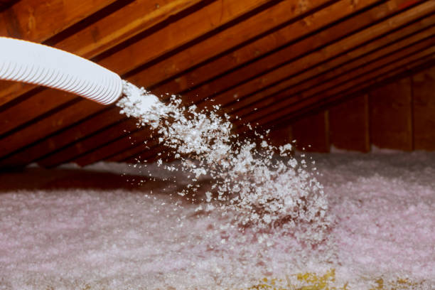 Best Blown-in Insulation in Duenweg, MO