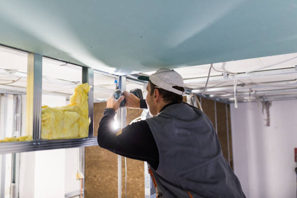 Best Spray Foam Insulation in Duenweg, MO