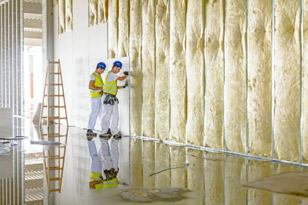 Best Blown-in Insulation in Duenweg, MO